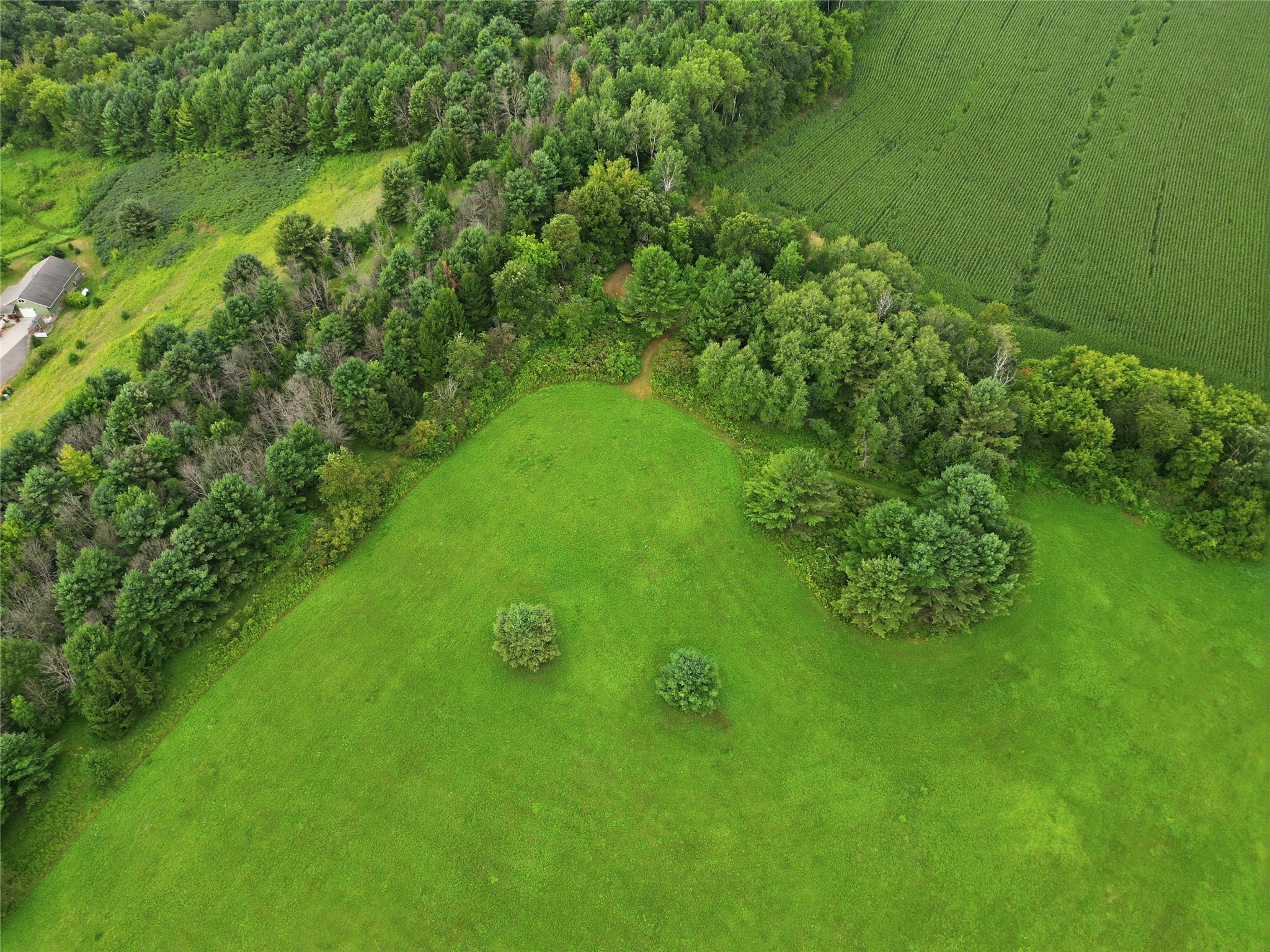 9650 Hwy 53 Property Photo 51