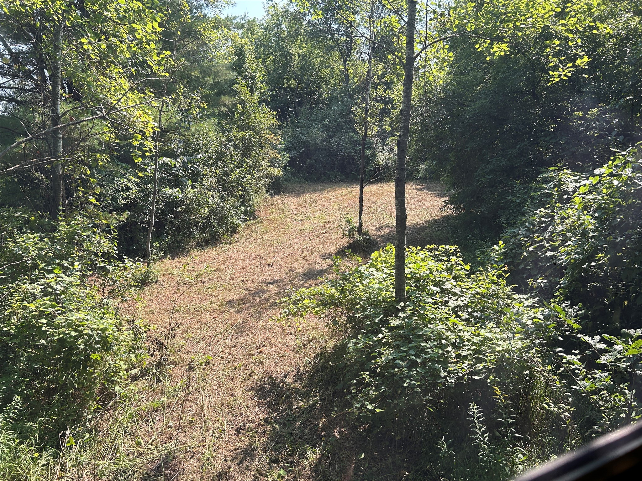 9650 Hwy 53 Property Photo 55