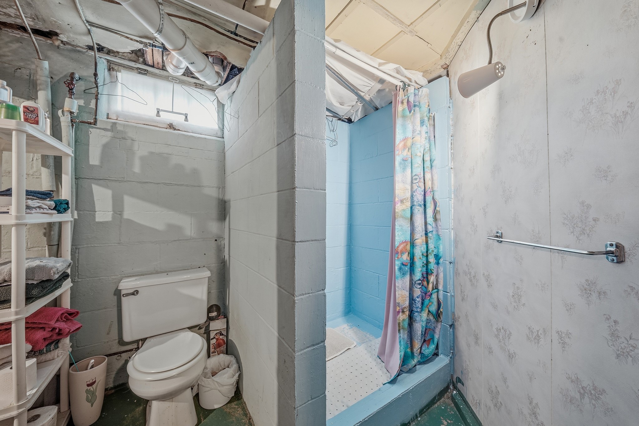 1135 Mansfield Street Property Photo 19