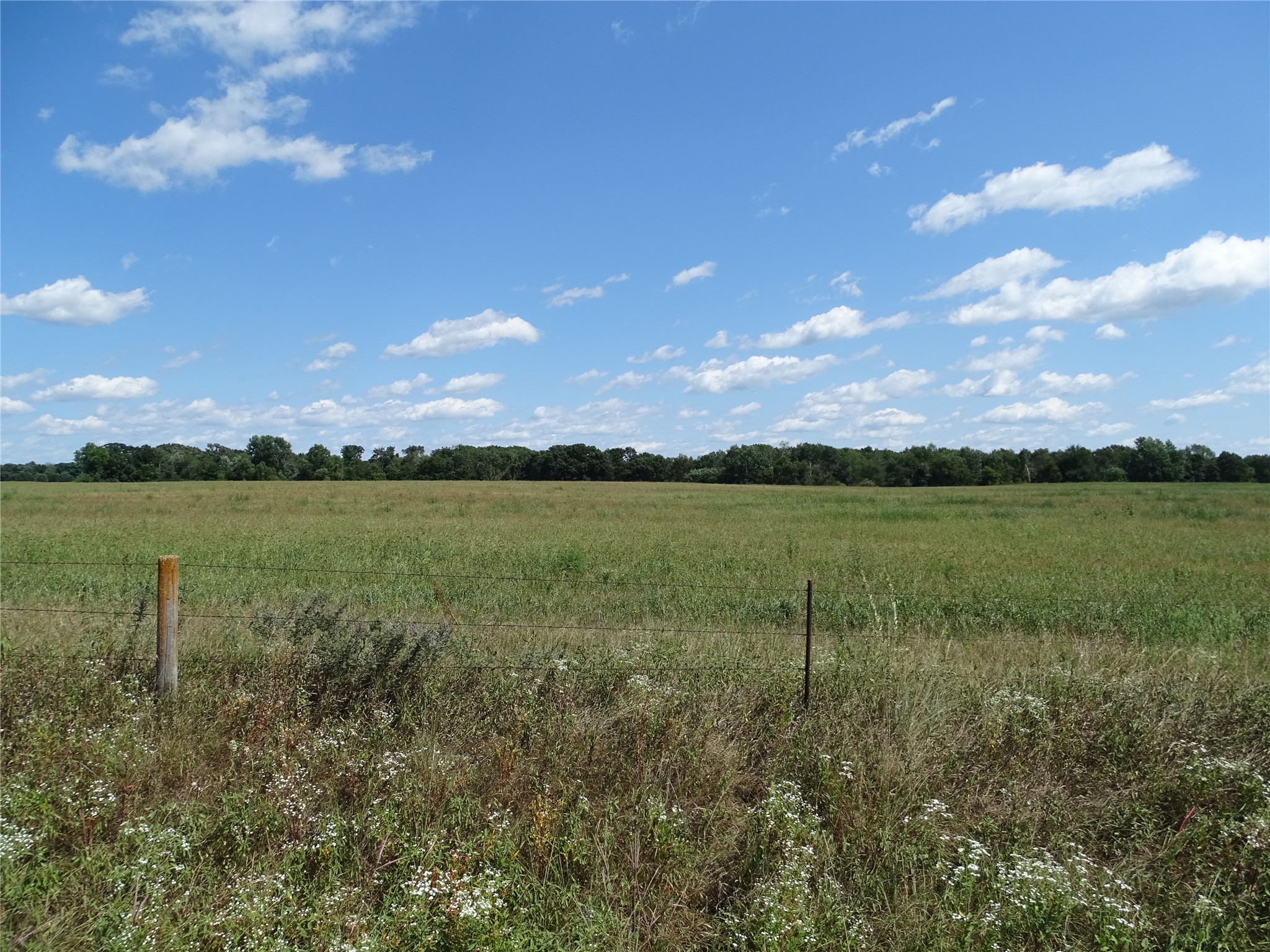 N1380 810th Street Property Photo 4