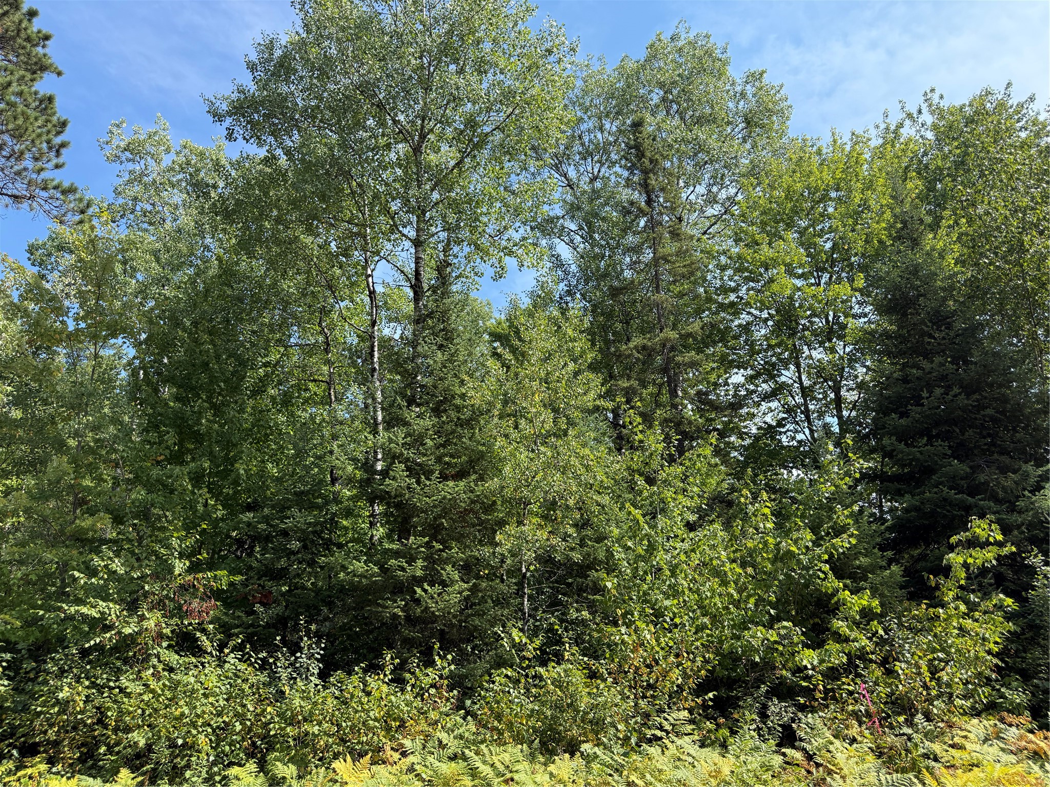 Lot 38 & 39 Stone Pine Drive Property Photo 1