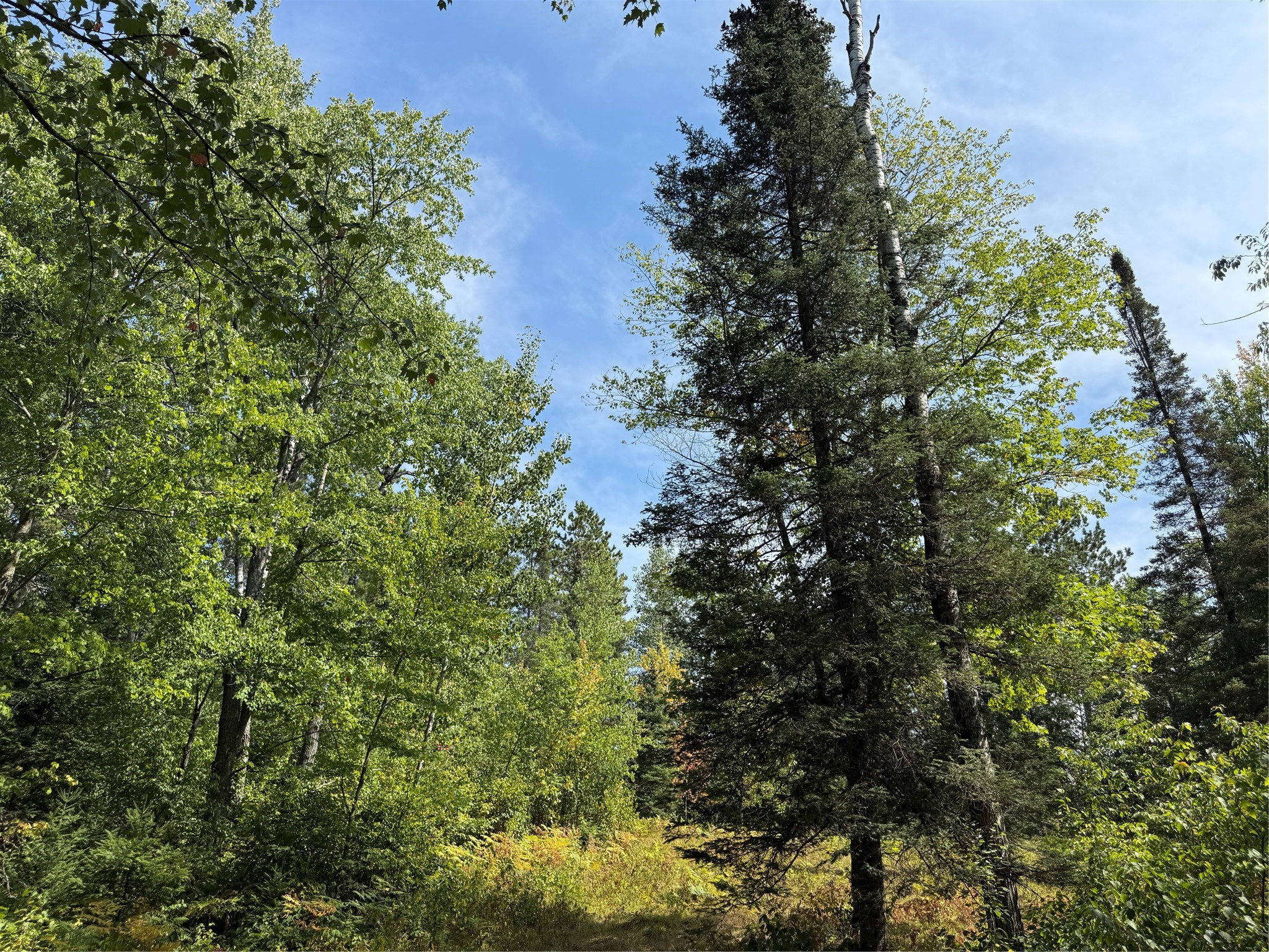 Lot 38 & 39 Stone Pine Drive Property Photo 2