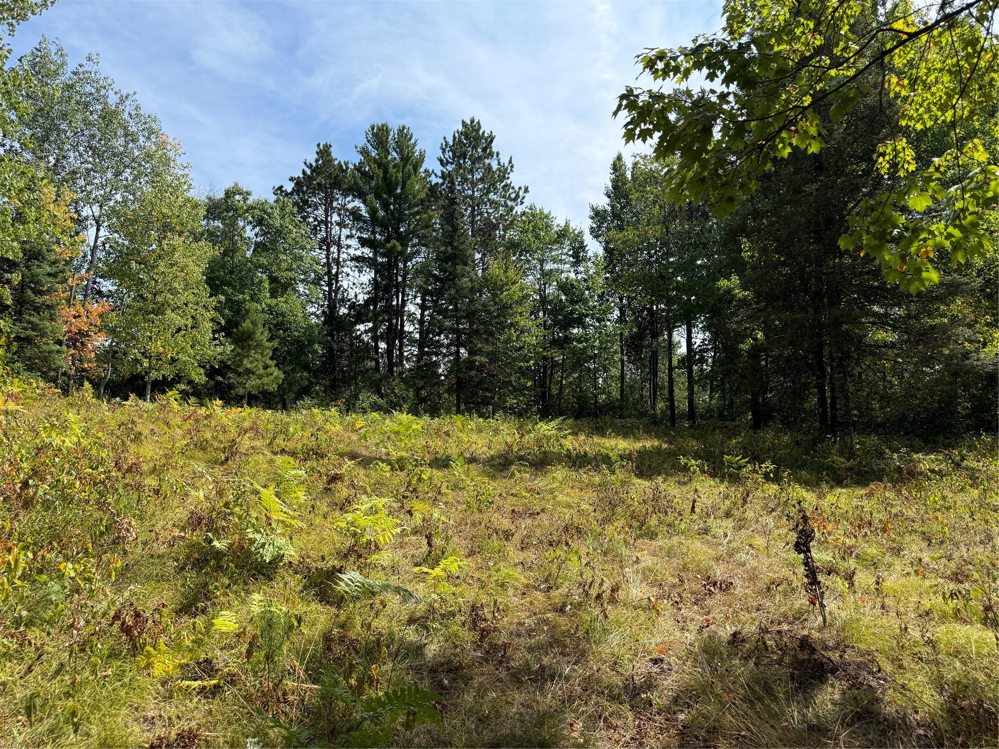 Lot 38 & 39 Stone Pine Drive Property Photo 3