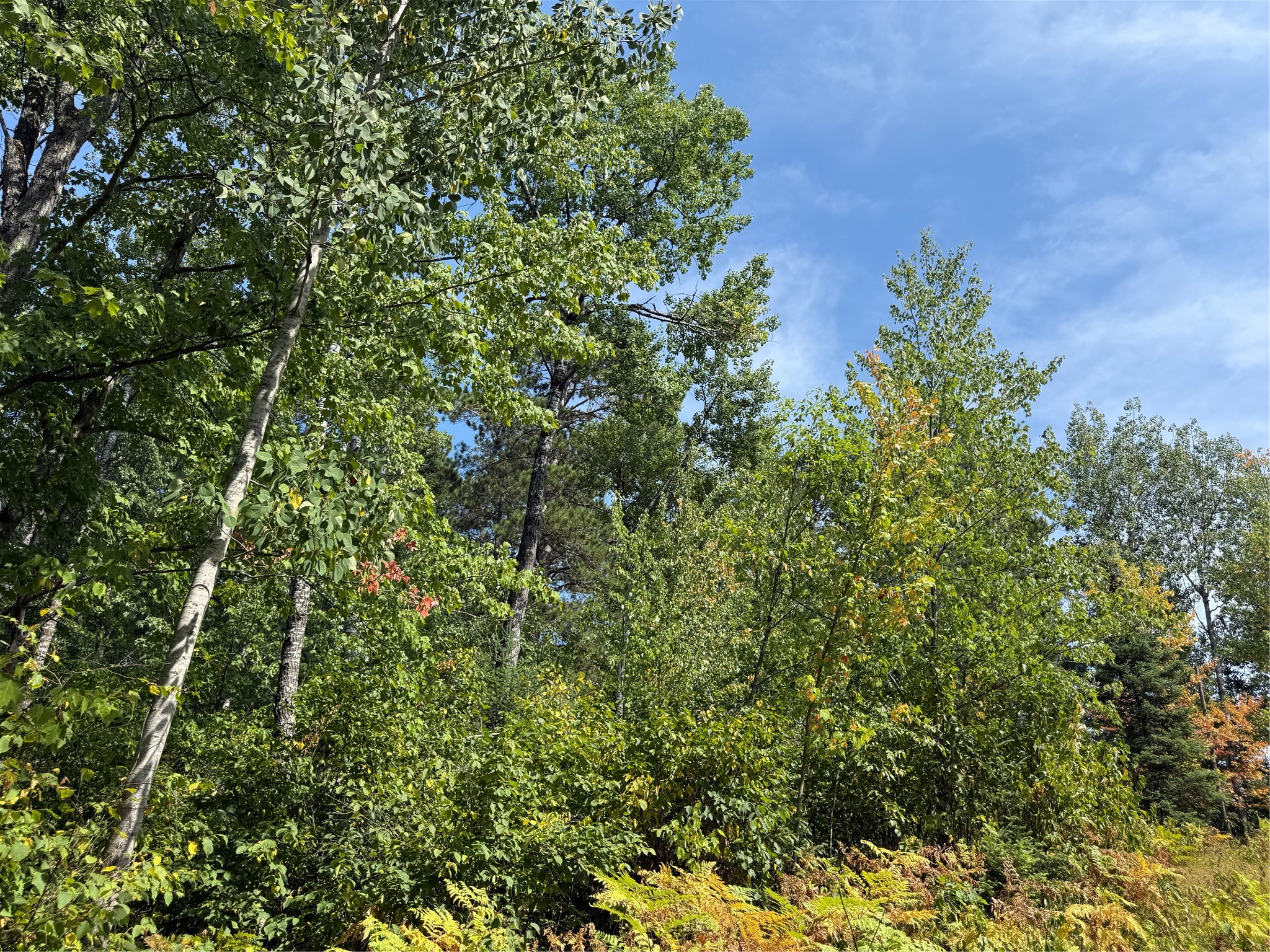 Lot 38 & 39 Stone Pine Drive Property Photo 4