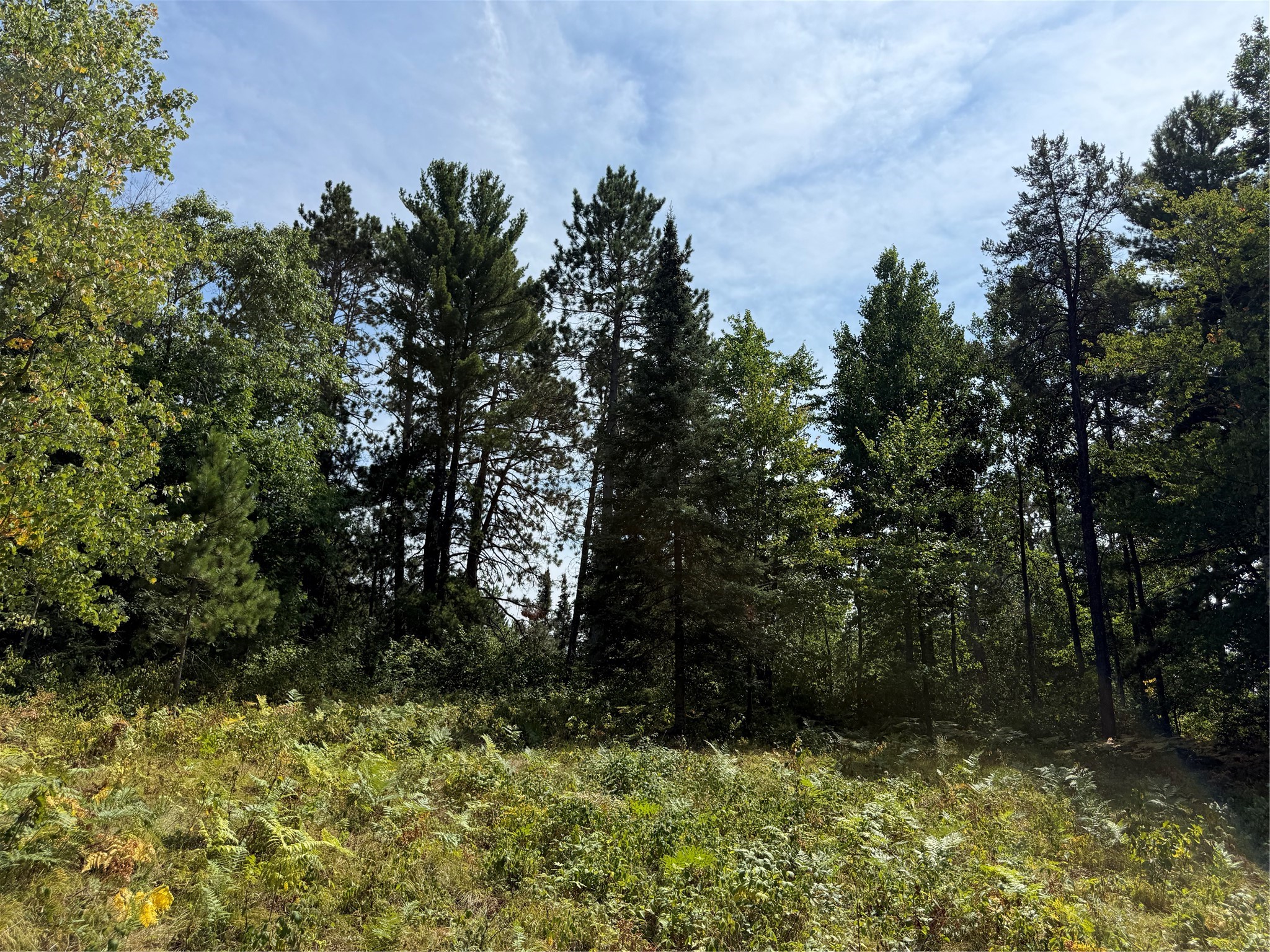 Lot 38 & 39 Stone Pine Drive Property Photo 5