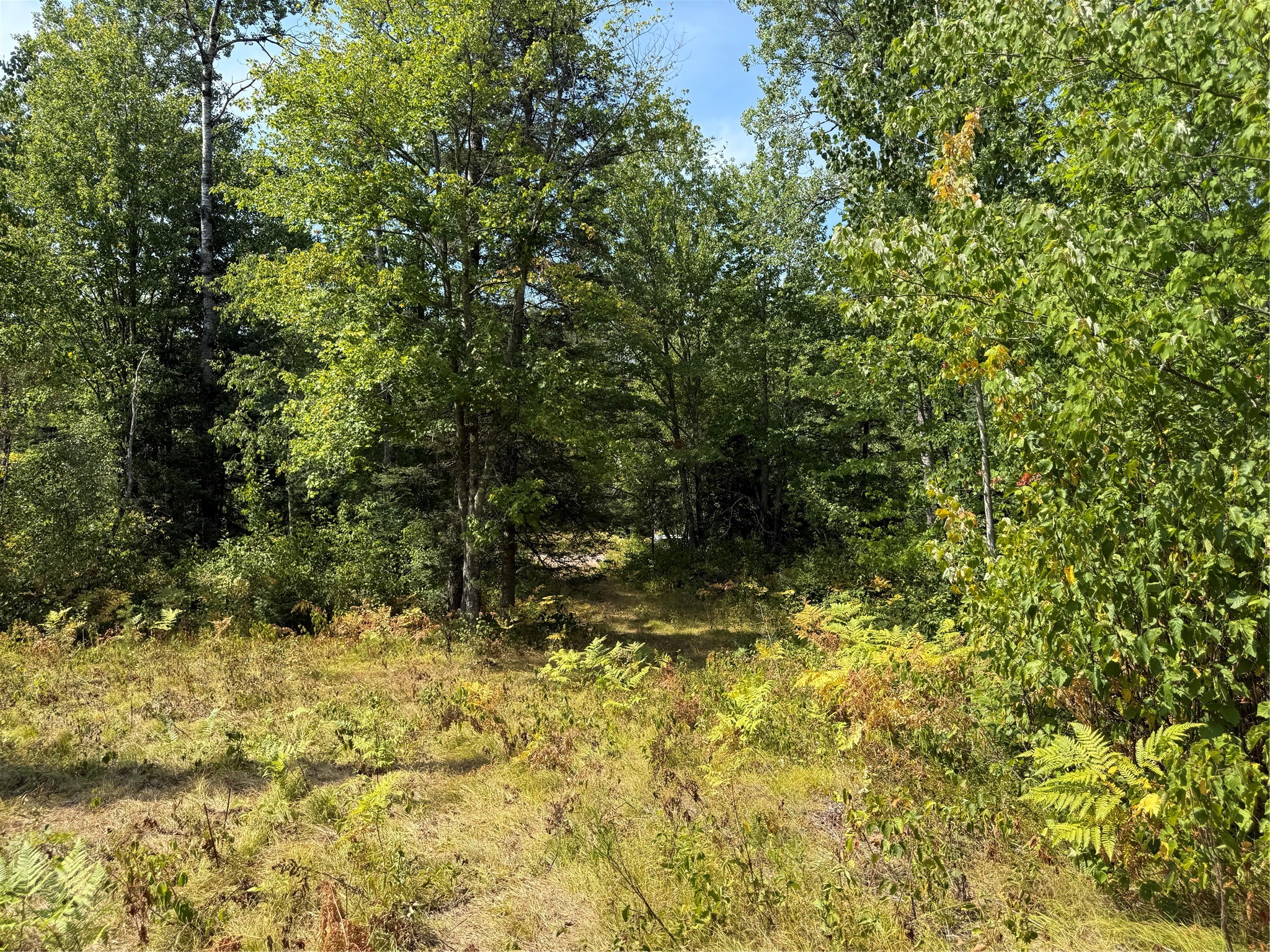 Lot 38 & 39 Stone Pine Drive Property Photo 6