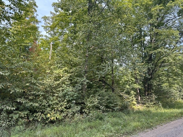 0 Helsing Road Property Photo 1