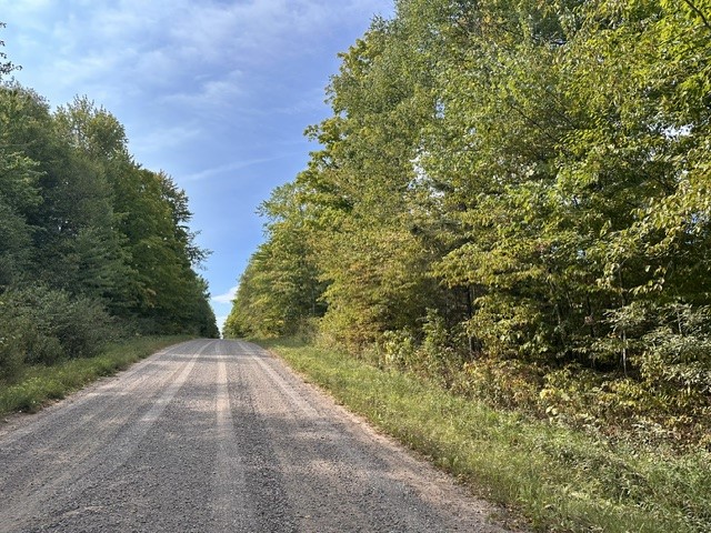 0 Helsing Road Property Photo 3