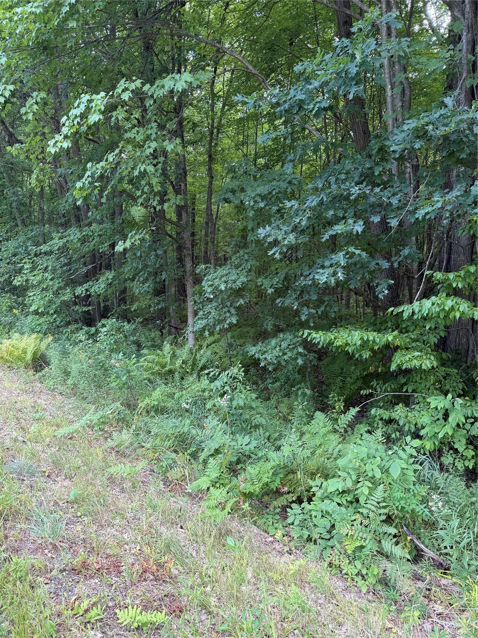 00 S County Road G Property Photo 1