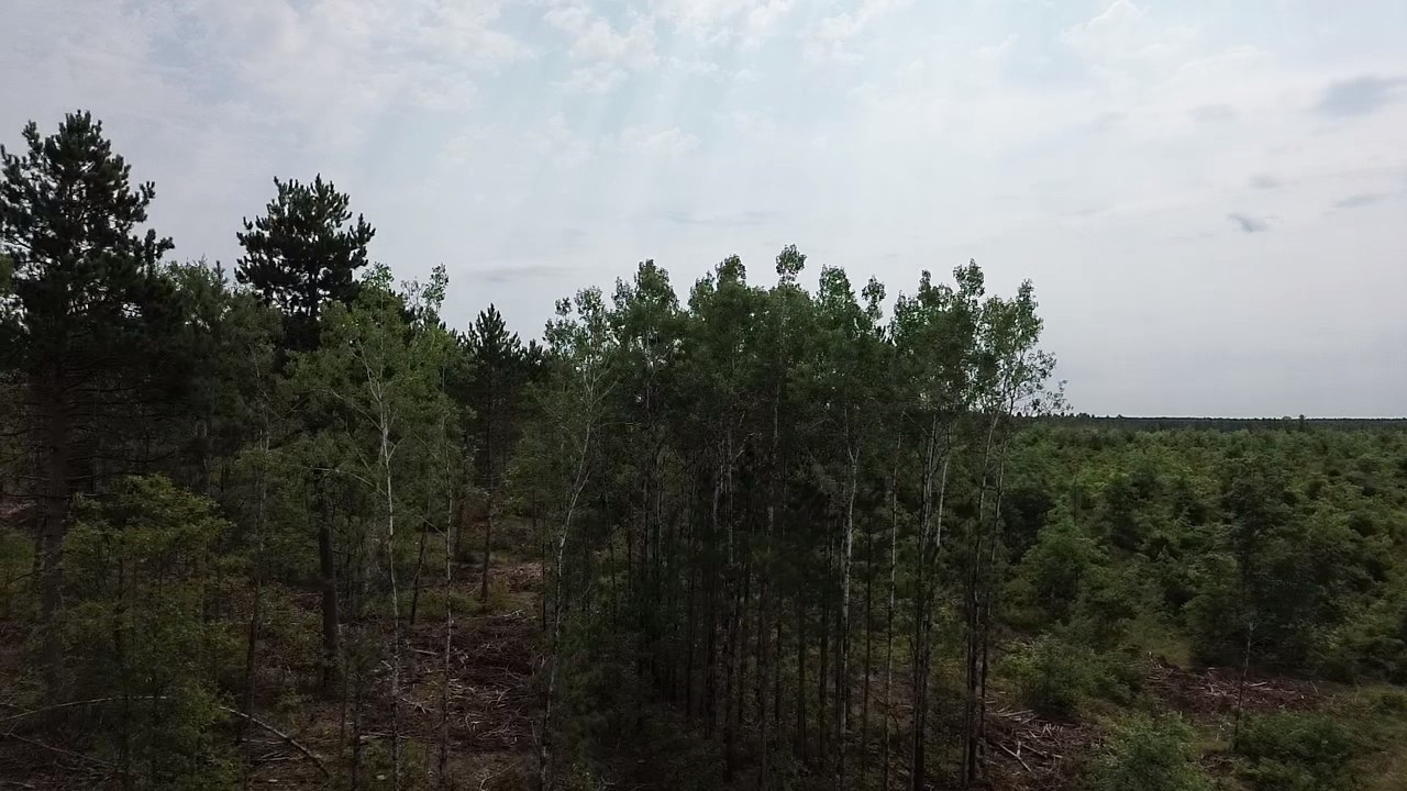 22xx Tomahawk Lake Road Property Photo 1