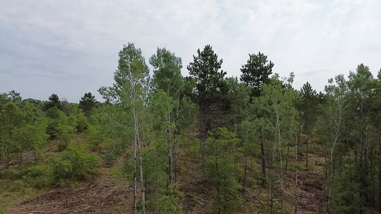 22xx Tomahawk Lake Road Property Photo 2