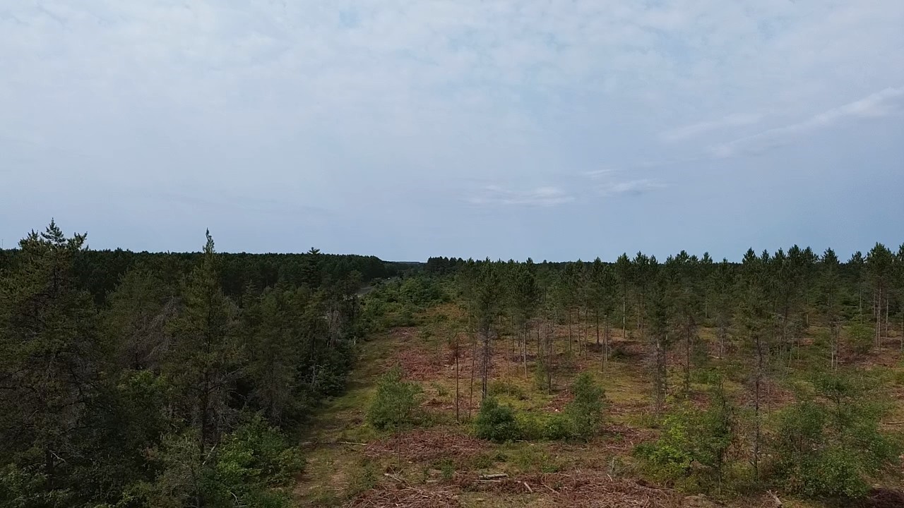 22xx Tomahawk Lake Road Property Photo 4