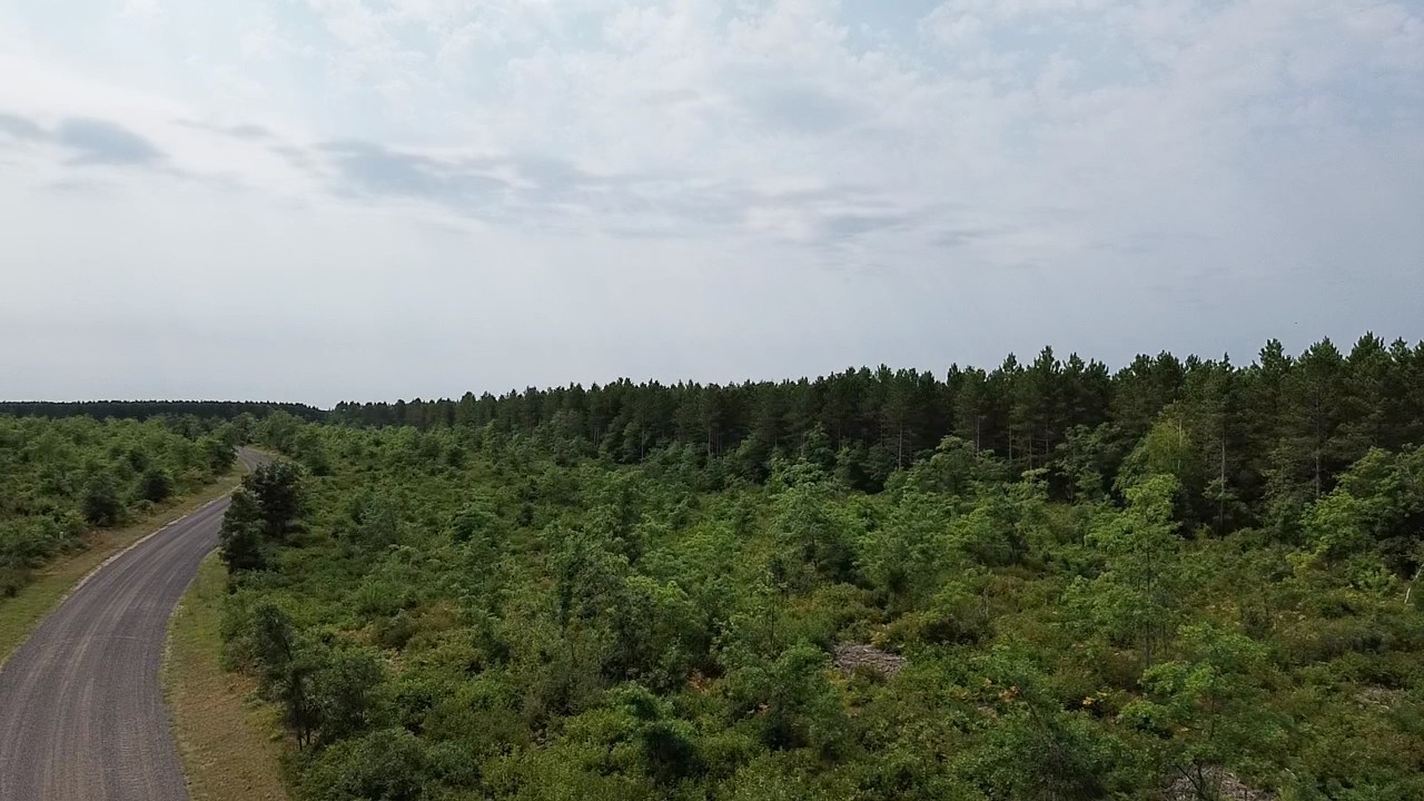 22xx Tomahawk Lake Road Property Photo 5