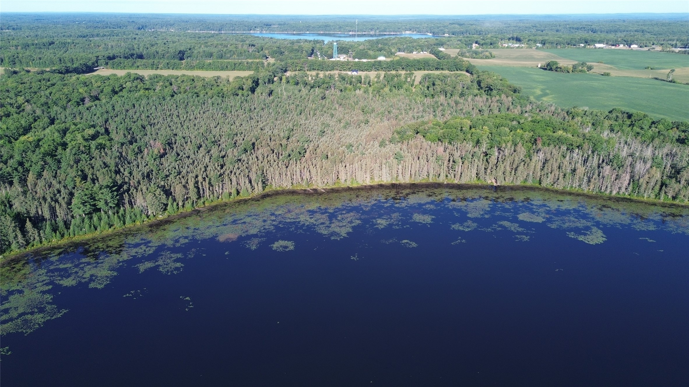 0000 Sand Lake Road Property Photo 6