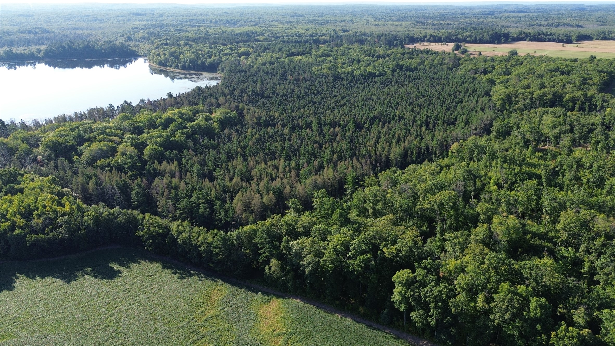 0000 Sand Lake Road Property Photo 9
