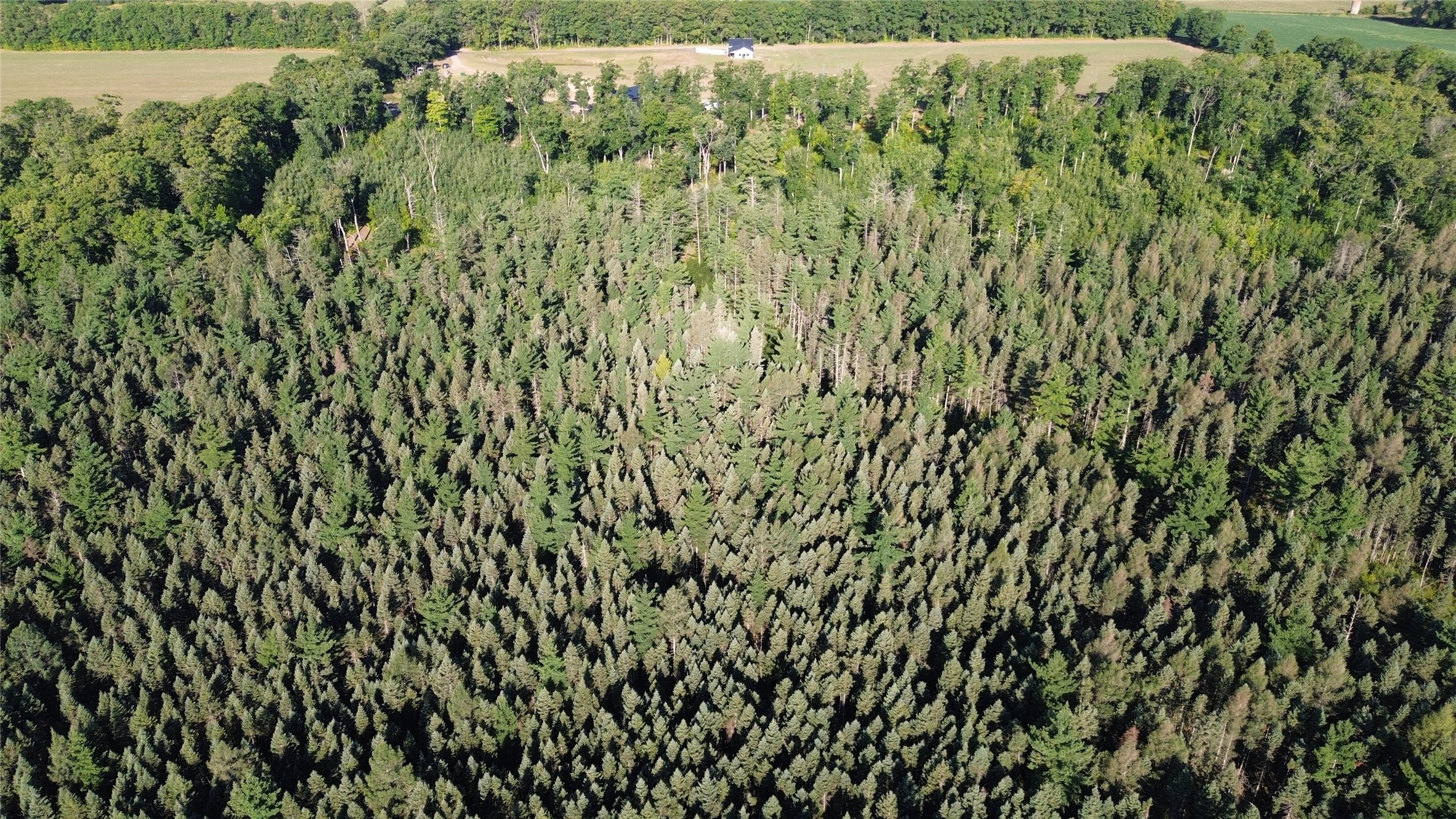 0000 Sand Lake Road Property Photo 13