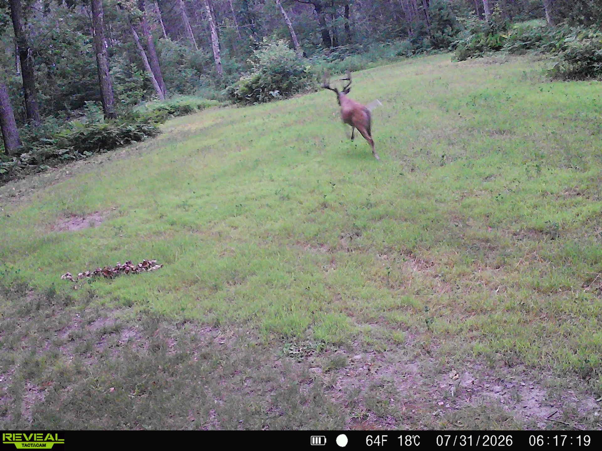 0000 Sand Lake Road Property Photo 15