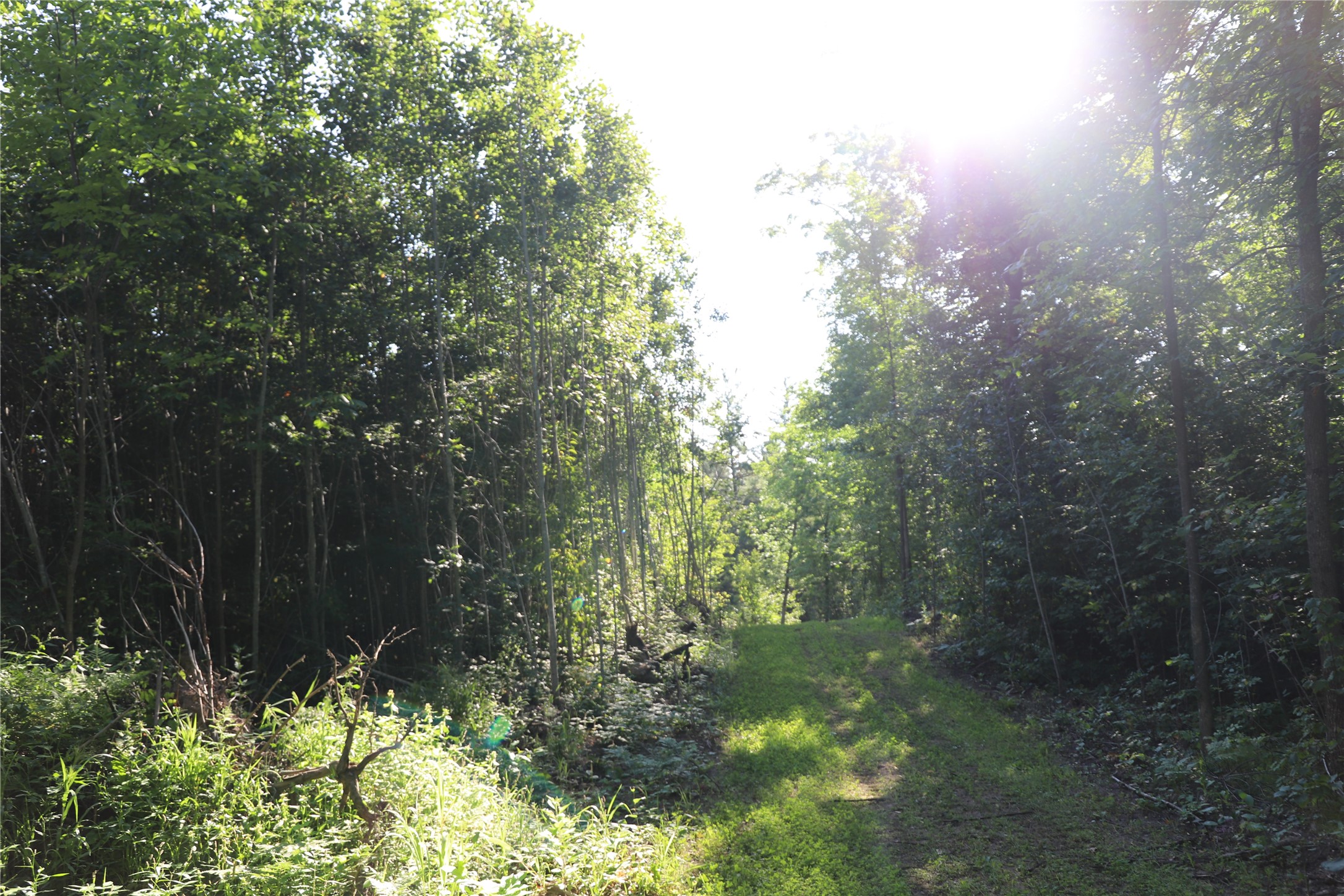 0000 Sand Lake Road Property Photo 18