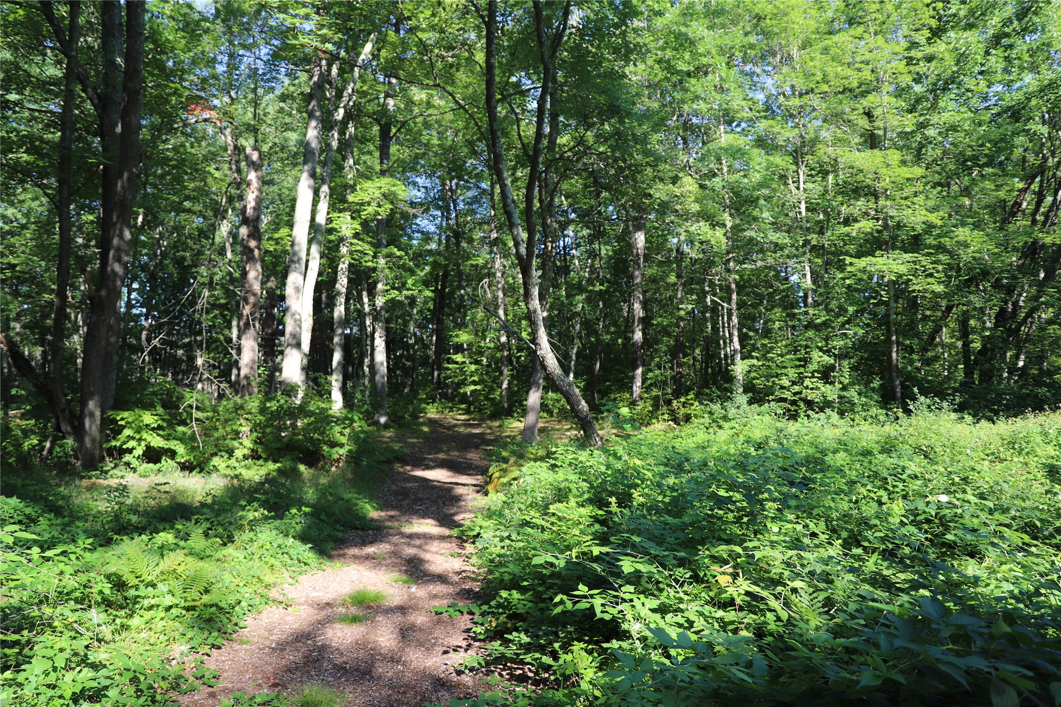 0000 Sand Lake Road Property Photo 27