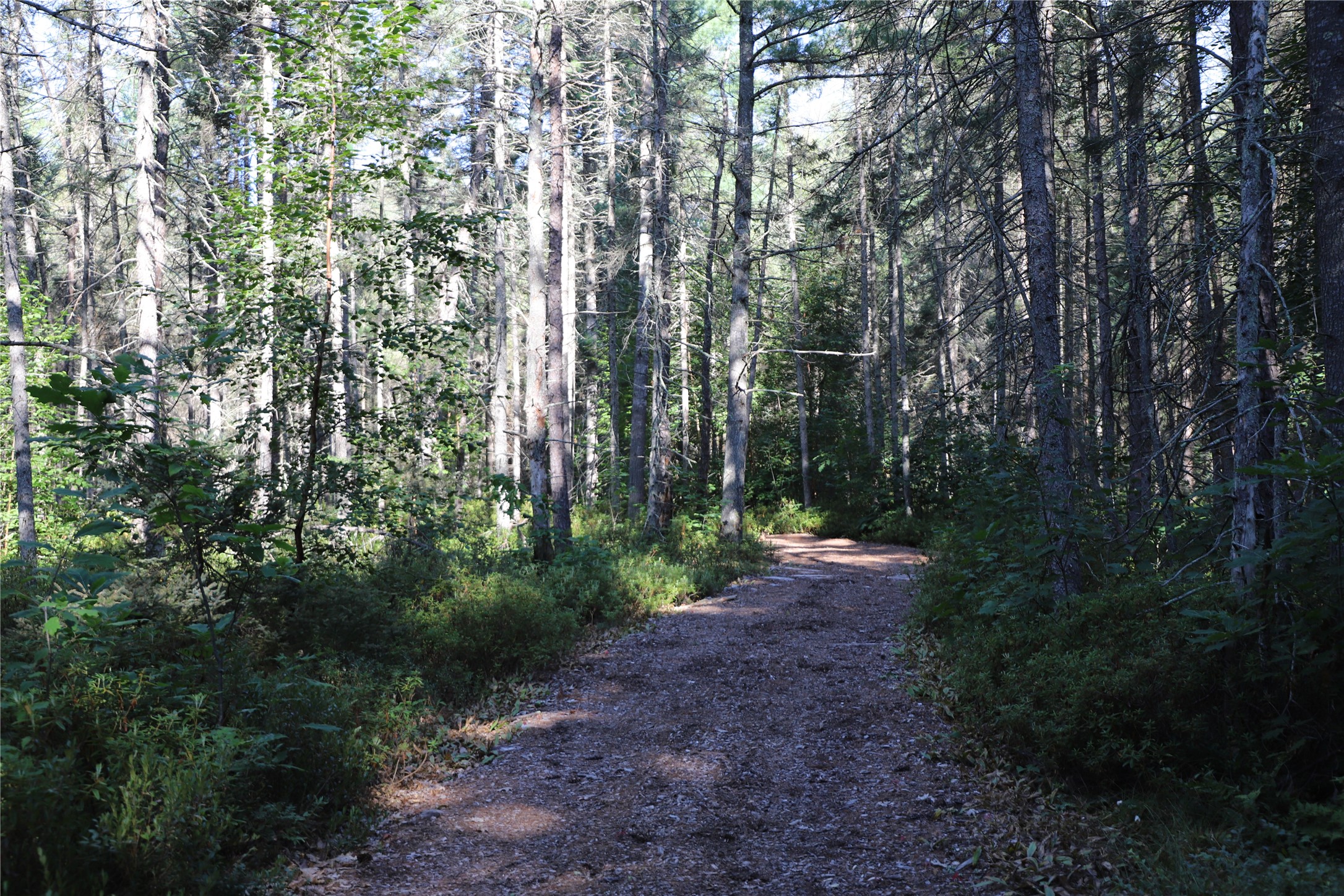 0000 Sand Lake Road Property Photo 34