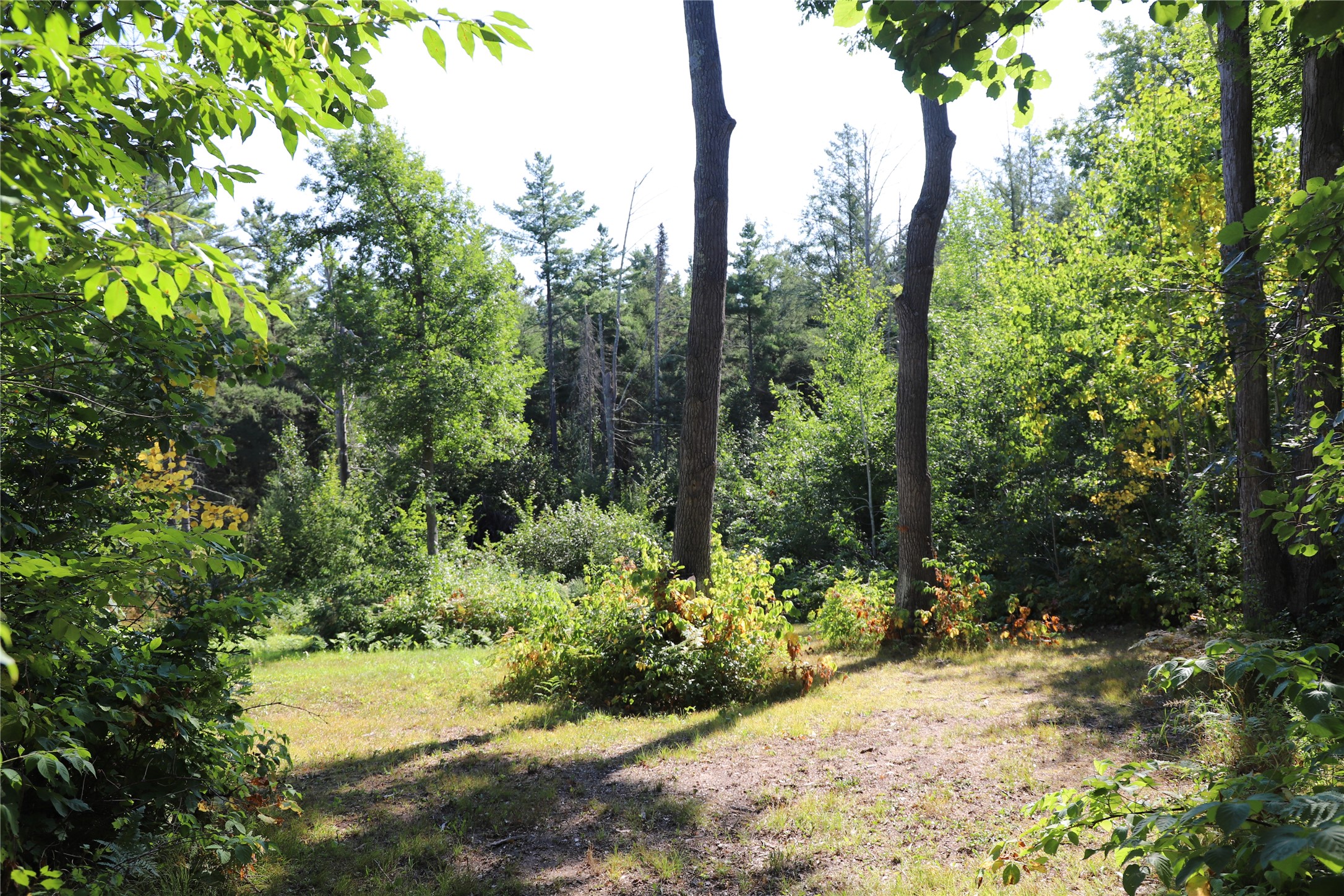 0000 Sand Lake Road Property Photo 37