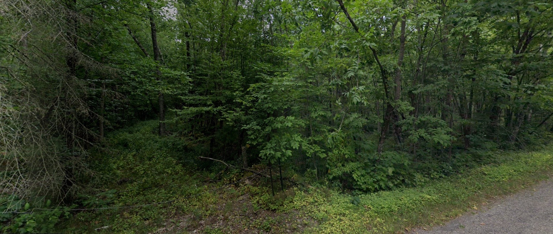Tbd Carper Road Property Photo 6