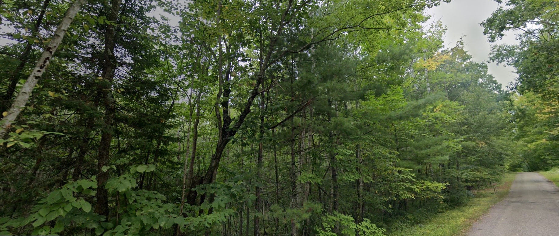 Tbd Carper Road Property Photo 12