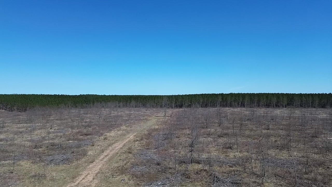 21xx Tomahawk Lake Road Property Photo 4