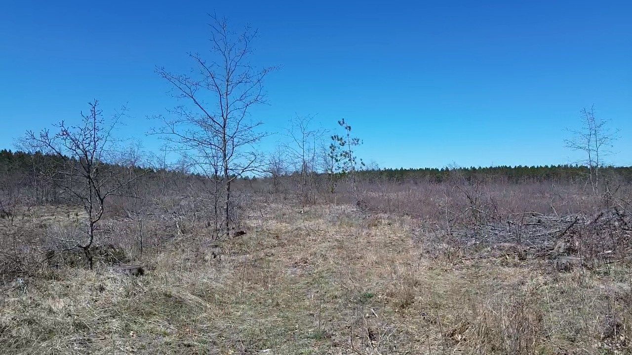 21xx Tomahawk Lake Road Property Photo 13