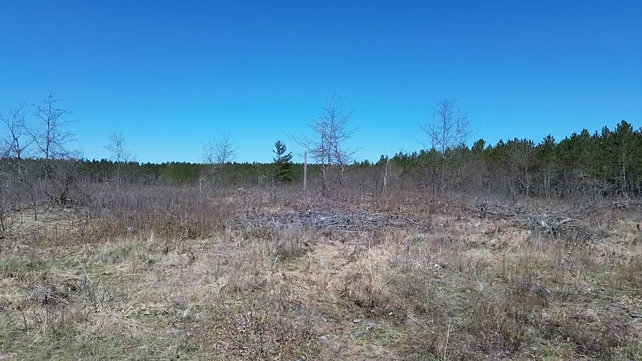 21xx Tomahawk Lake Road Property Photo 15