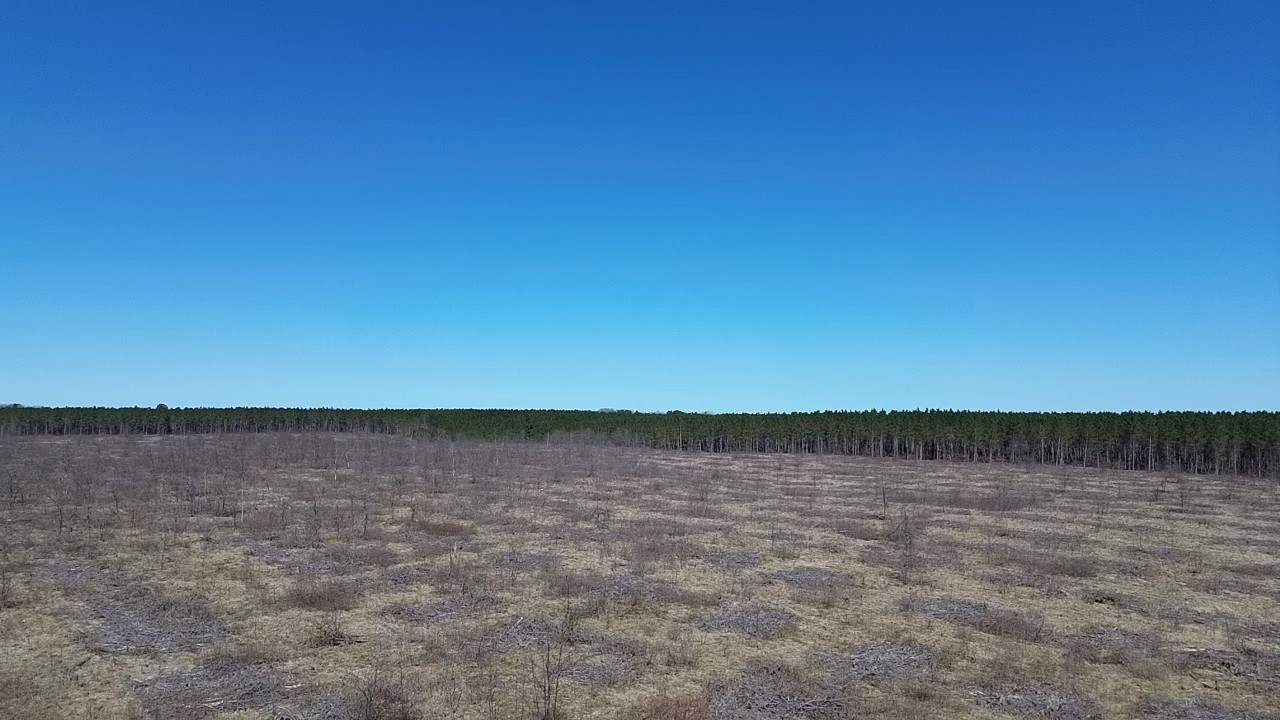 21xx Tomahawk Lake Road Property Photo 17