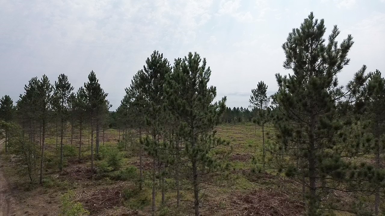201x Tomahawk Lake Road Property Photo 2