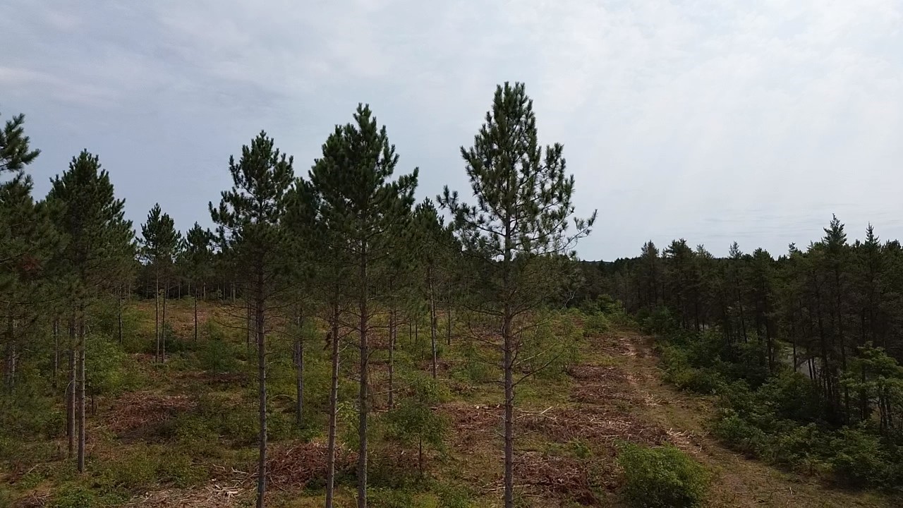 201x Tomahawk Lake Road Property Photo 3