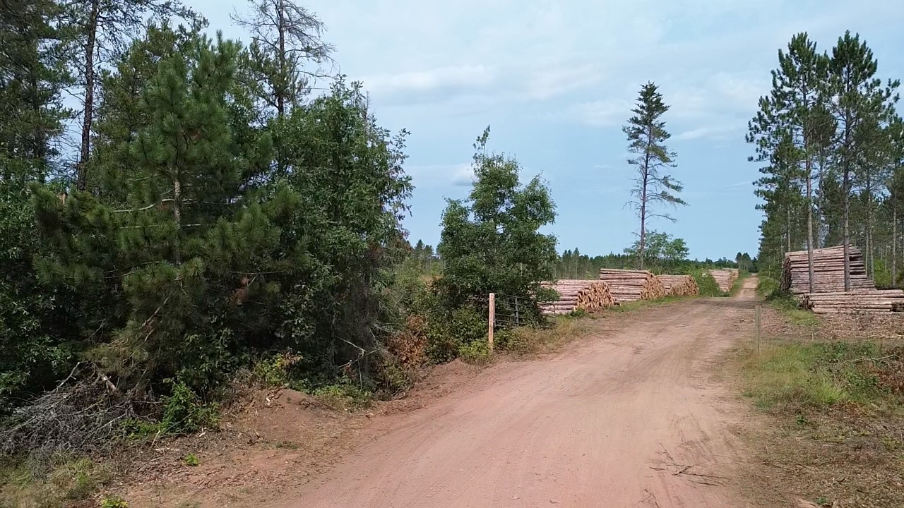 201x Tomahawk Lake Road Property Photo 4