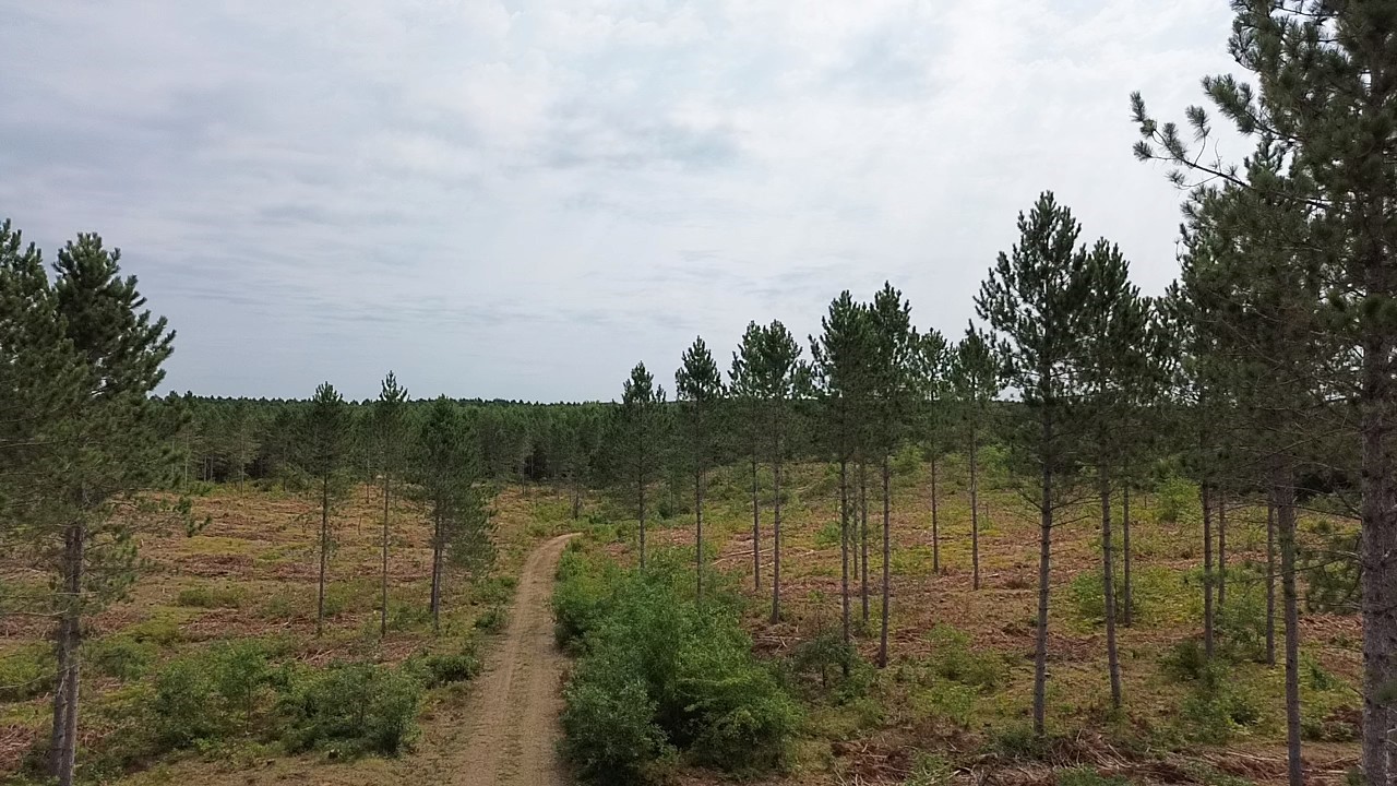 201x Tomahawk Lake Road Property Photo 7