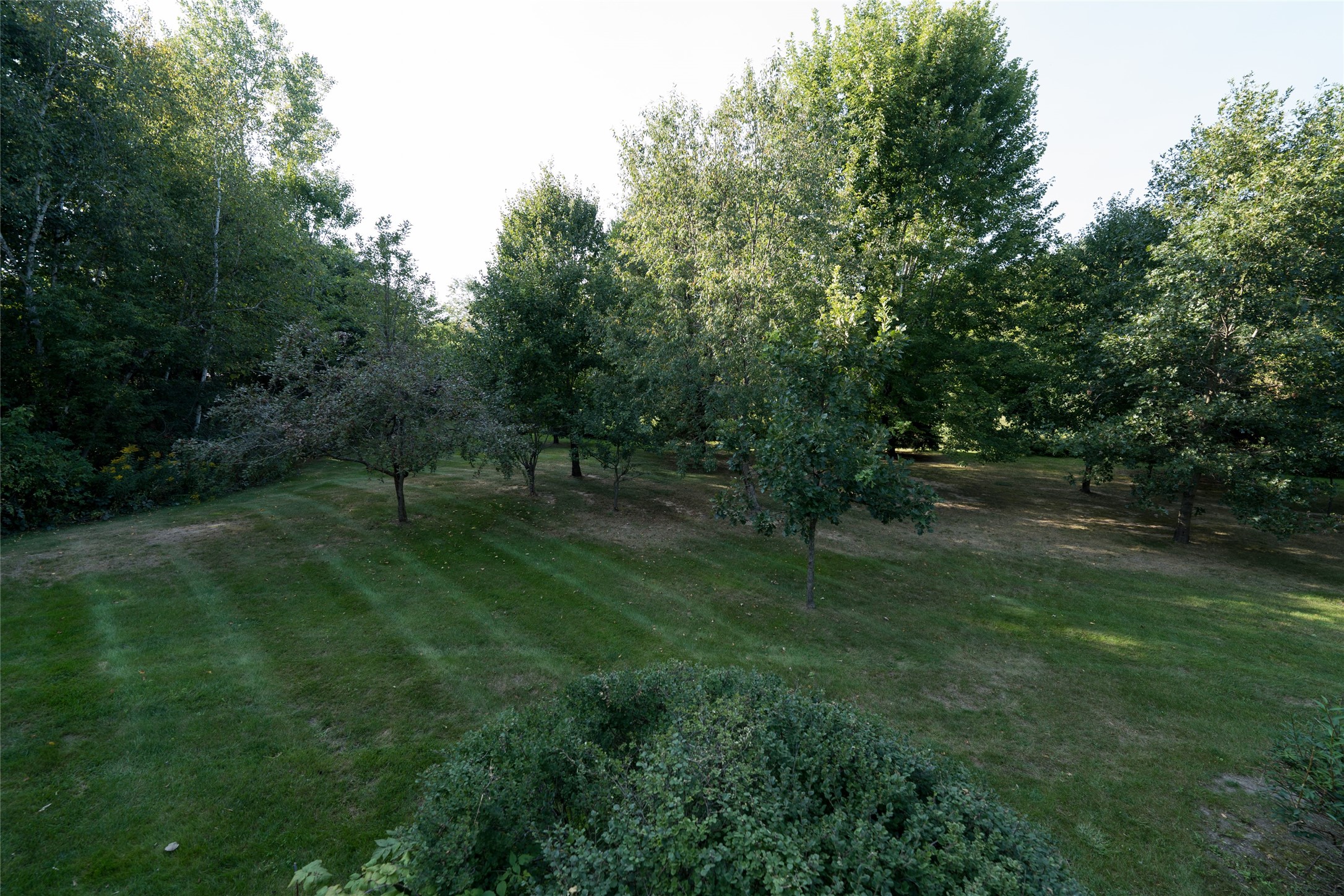 S51 Deer Run Road Property Photo 59