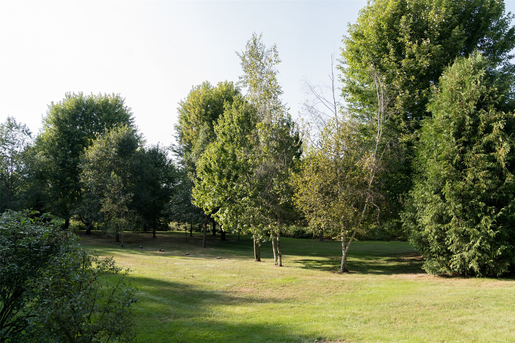S51 Deer Run Road Property Photo 60
