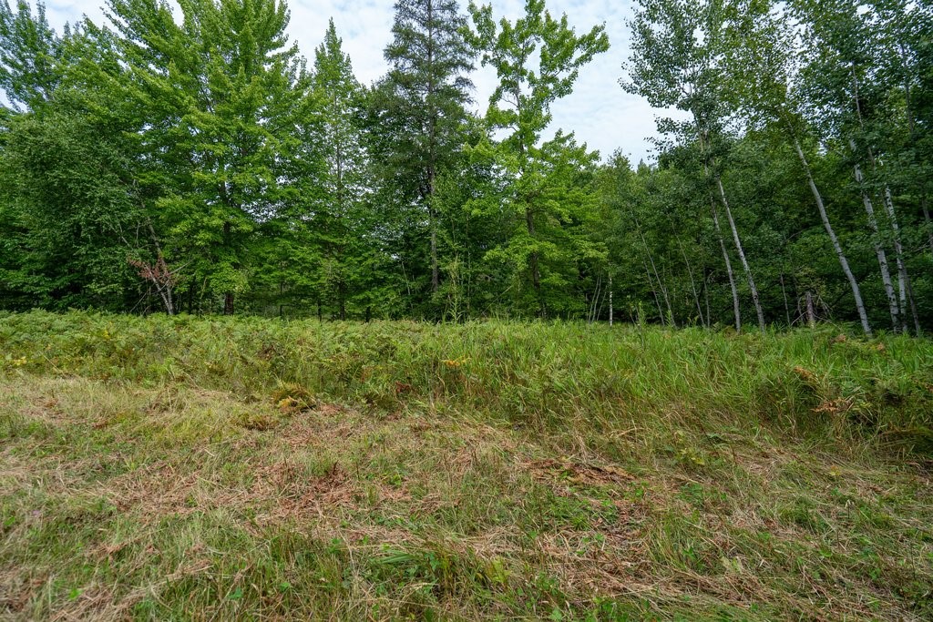 0 290th Avenue Property Photo 7