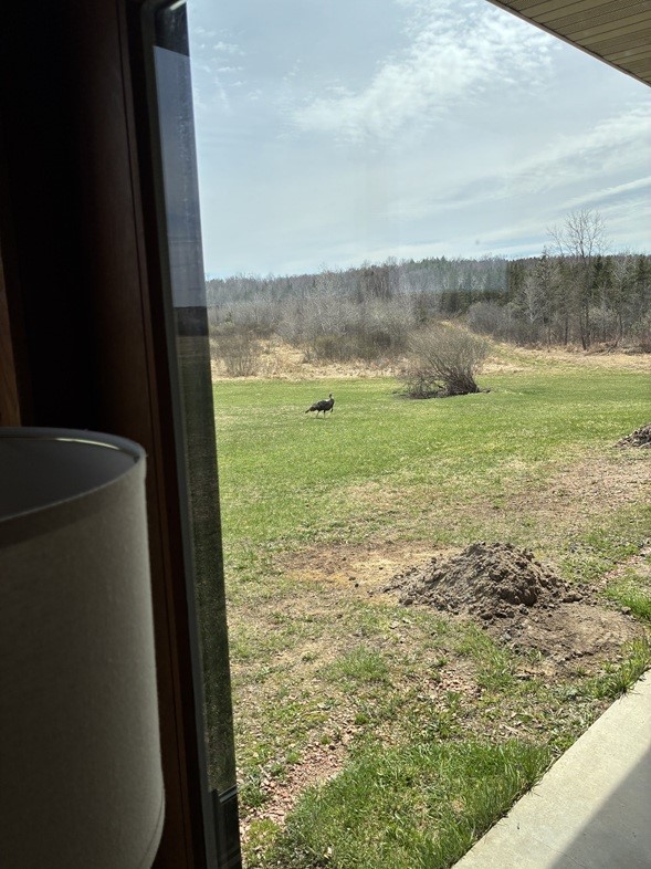 0 28th Street Property Photo 15