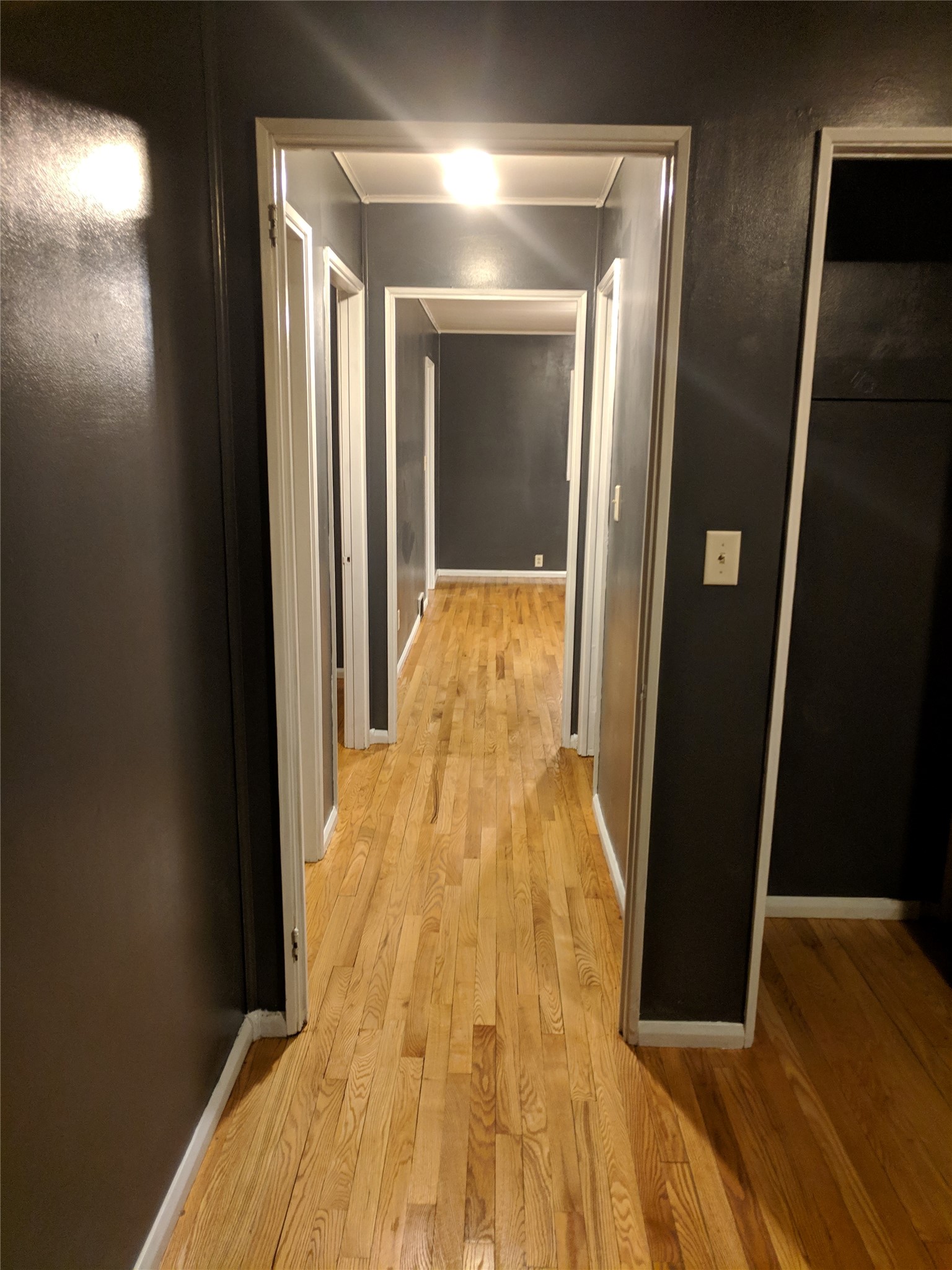 1518 Starr Avenue Property Photo 9