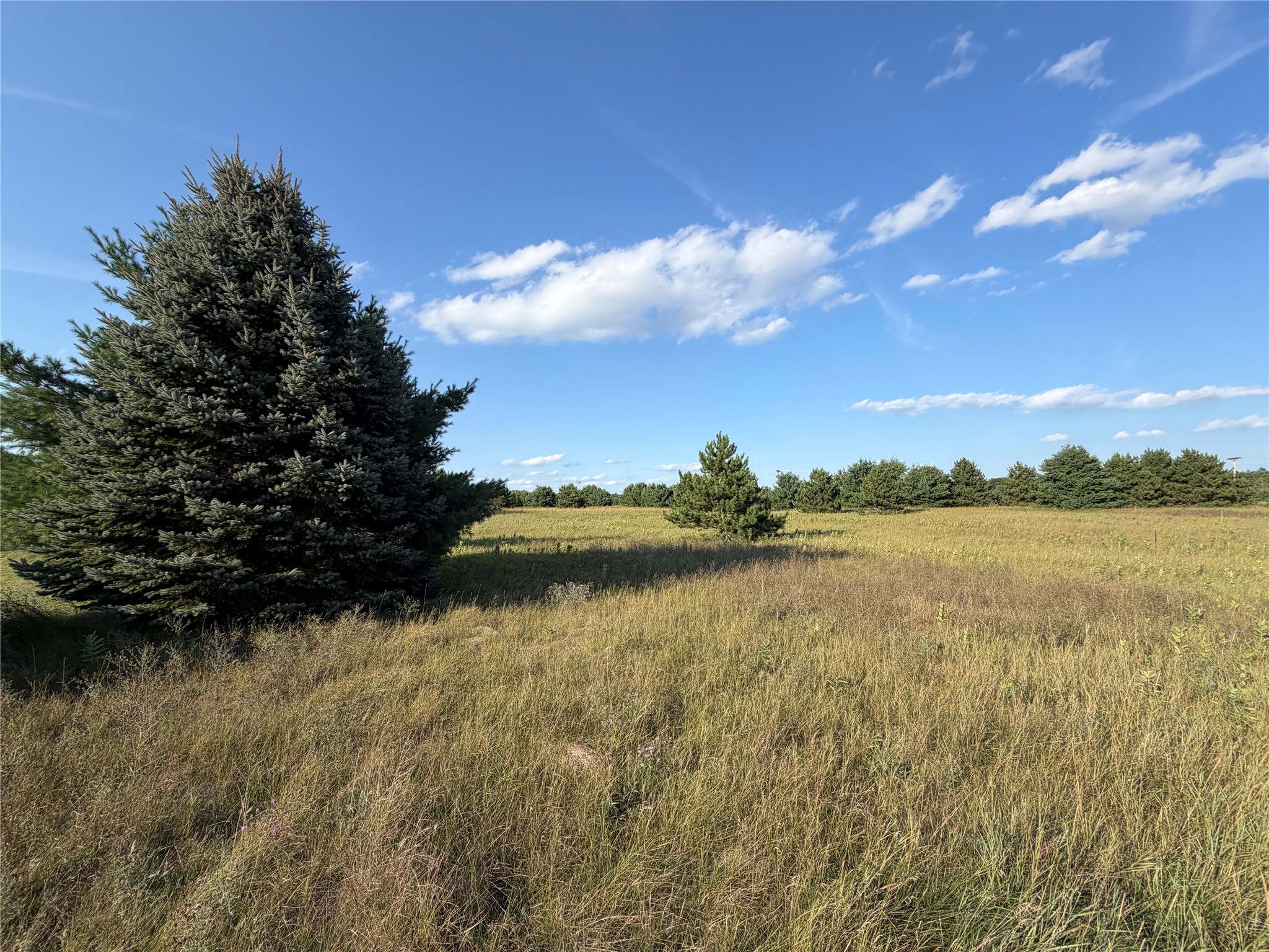 W12030 Old Highway D Road Property Photo 6
