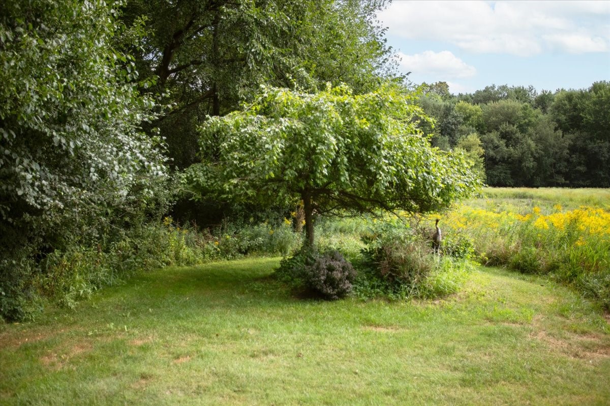 N4438 County Road Y Property Photo 48