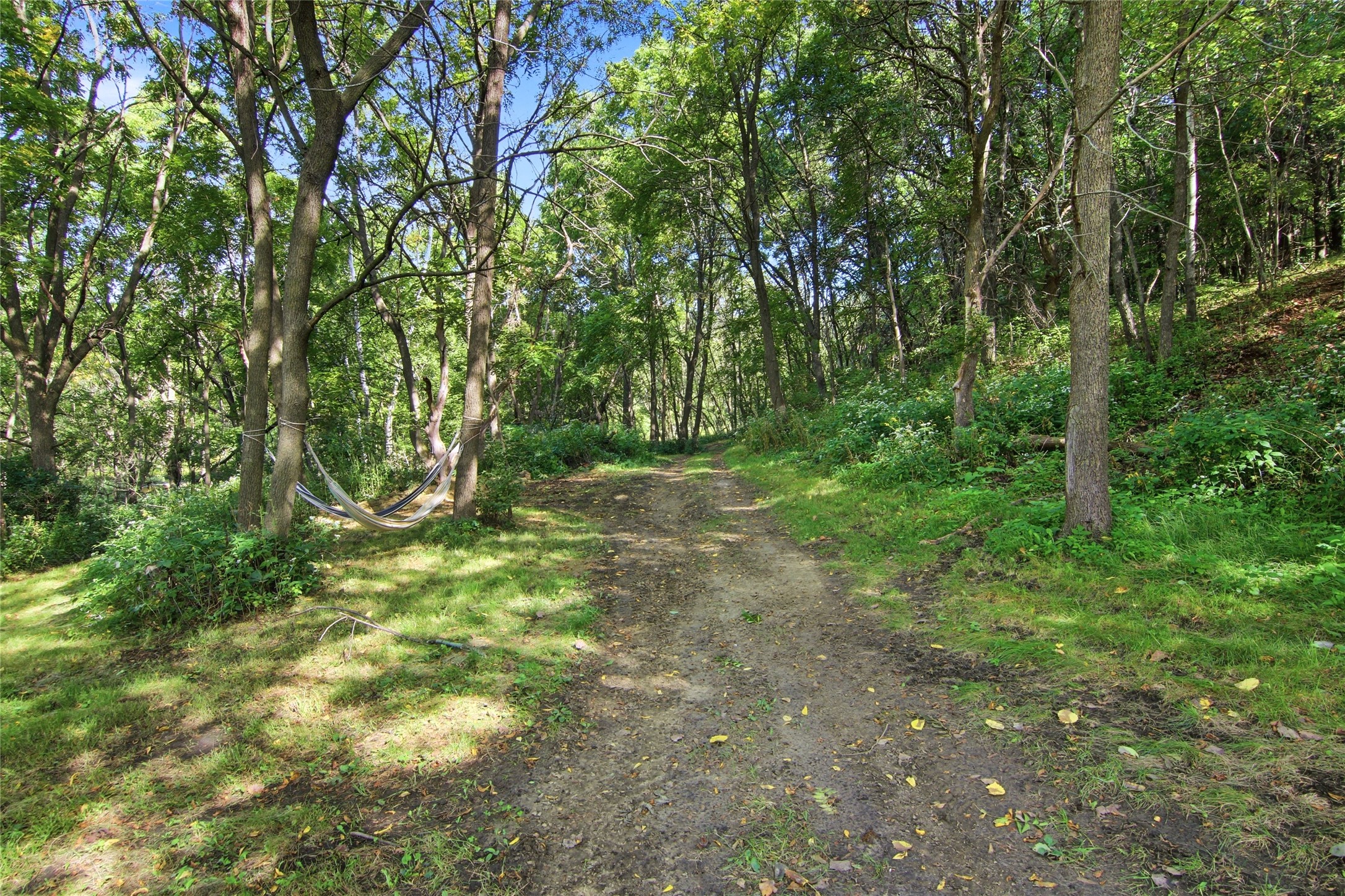 N4961 567th Street Property Photo 45