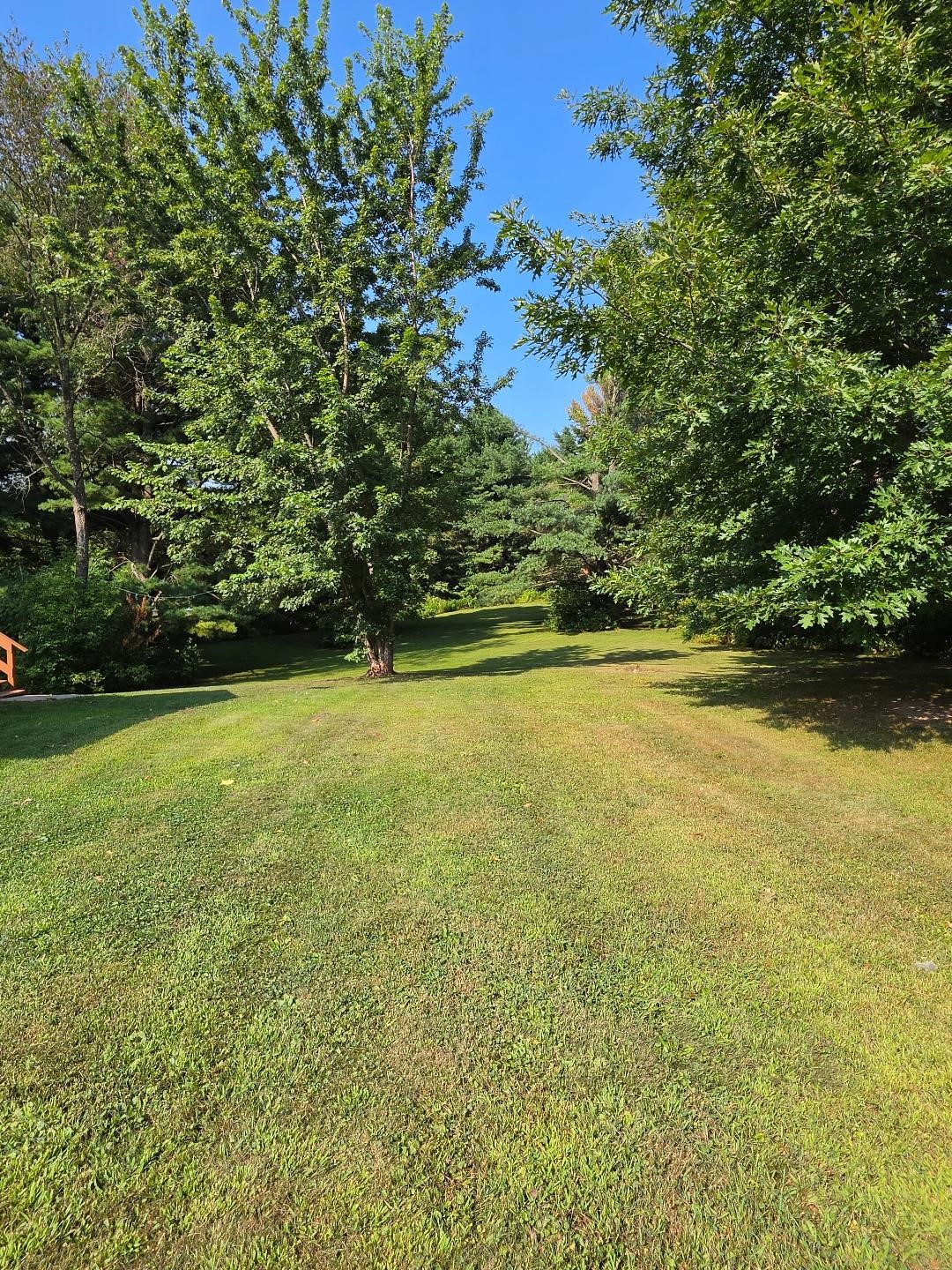 2560 8 3/4 Street Property Photo 47