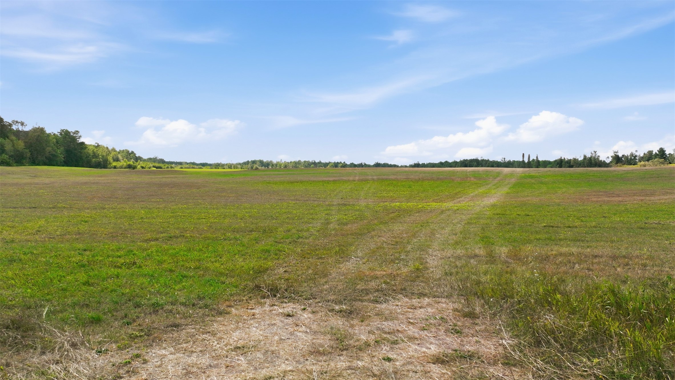 10 Acres State Hwy 40 Property Photo 5