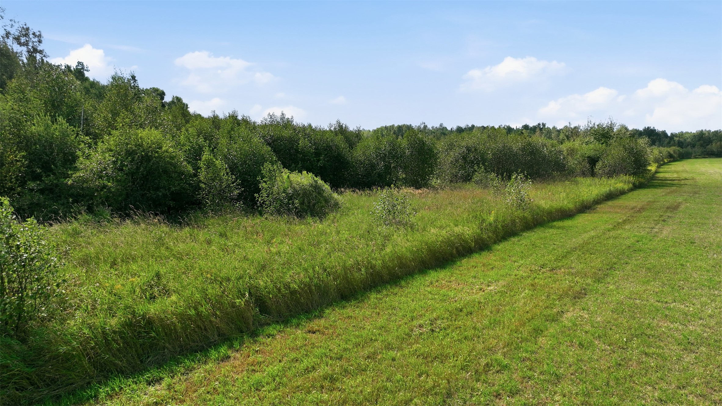 10 Acres State Hwy 40 Property Photo 8