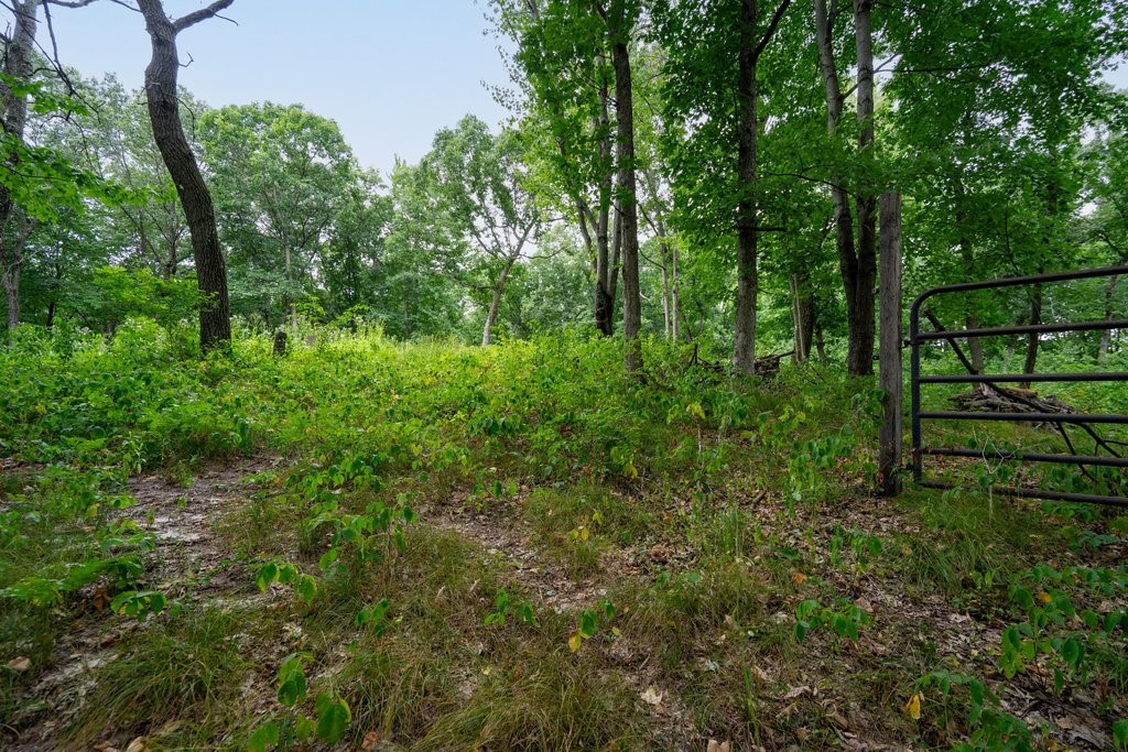 S11940 Lowes Creek Road Property Photo 42
