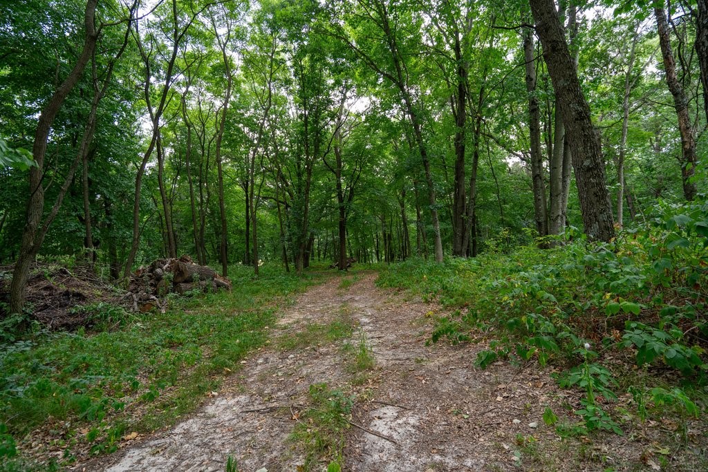 S11940 Lowes Creek Road Property Photo 43