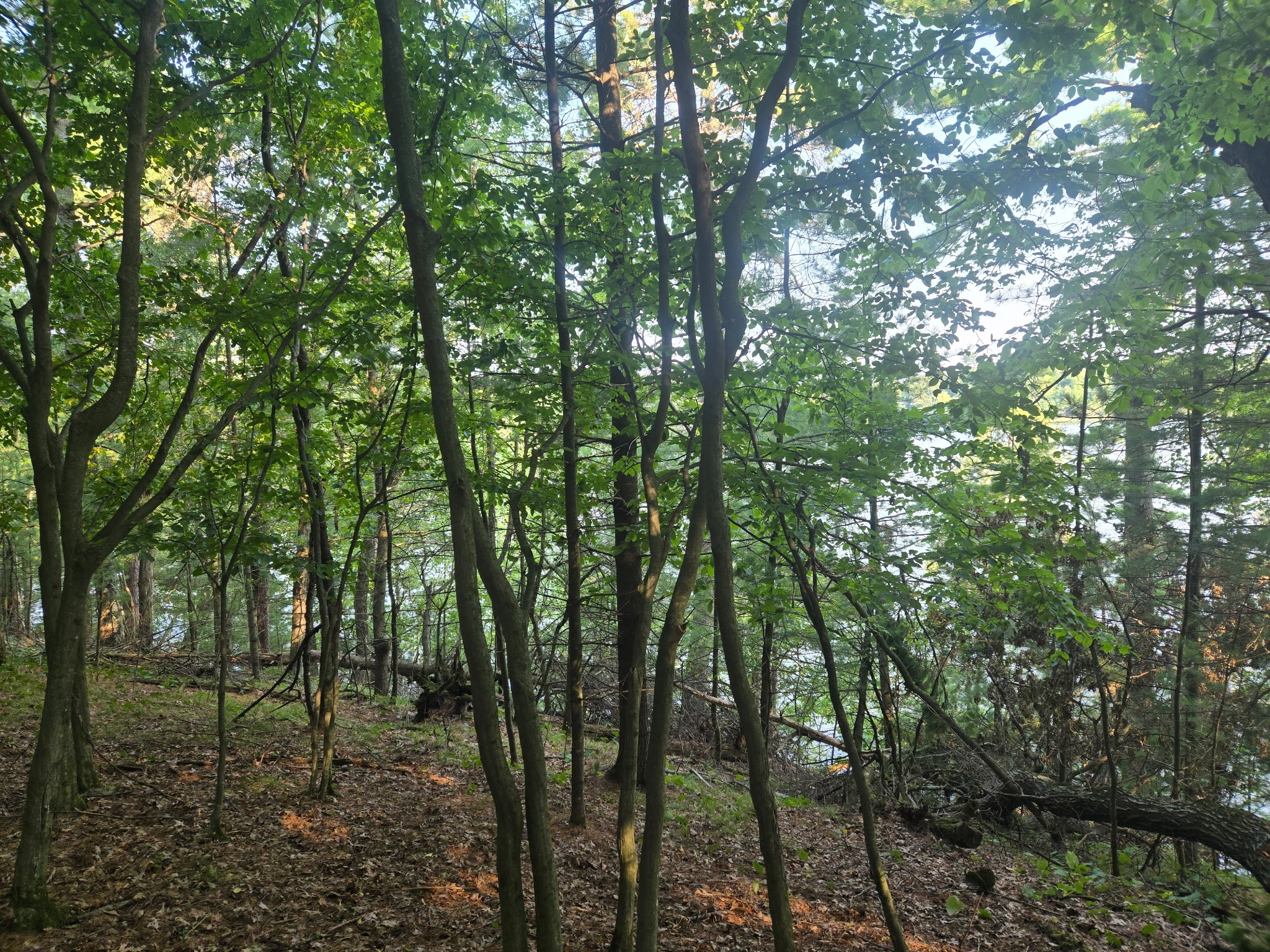 Lot 2 75th Ave Property Photo 1