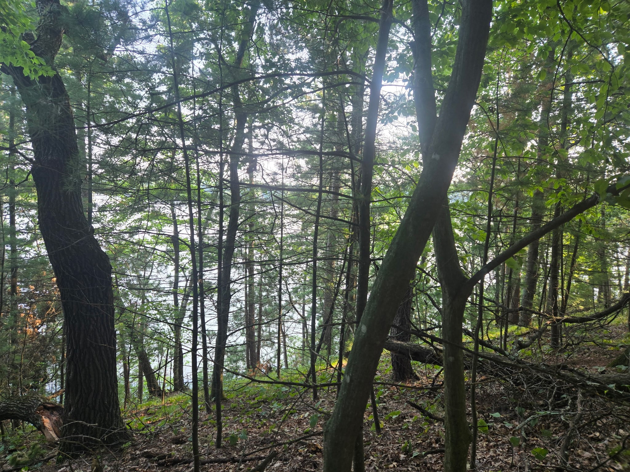 Lot 2 75th Ave Property Photo 4